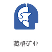 雪缘园膜合作伙伴：藏格礦業
